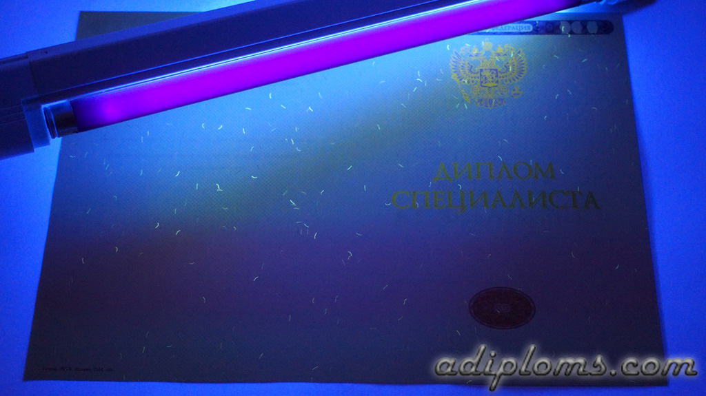 Диплом специалиста 2014-2026 Фото Диплом специалиста 2014-2026 Фото